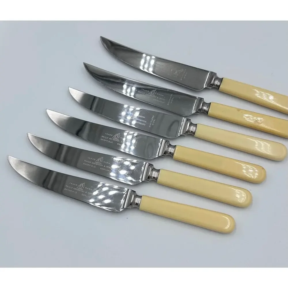 Vintage Philip Ashberry & Sons Sheffield England Celluloid 6pc Dinner Knife Set